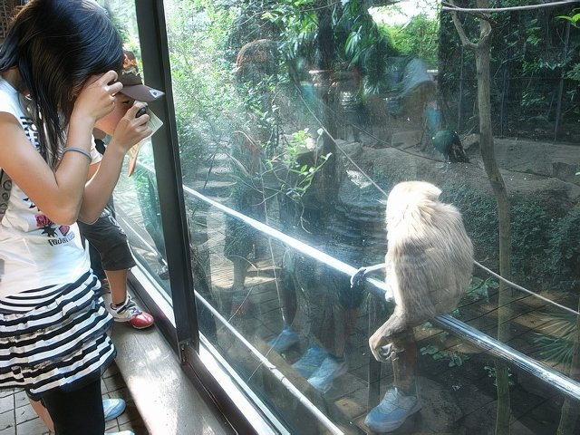 008-topaz-standard v2-640w.jpg