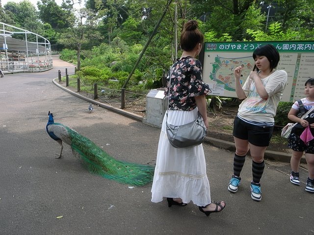 018-topaz-standard v2-640w-faceai.jpg