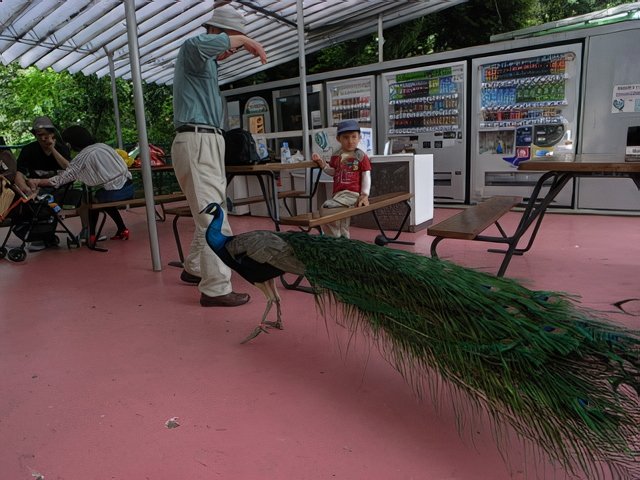 027-topaz-high fidelity v2-640w-faceai.jpg