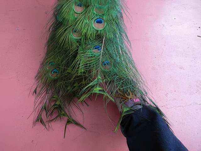 last-topaz-standard v2-640w.jpg