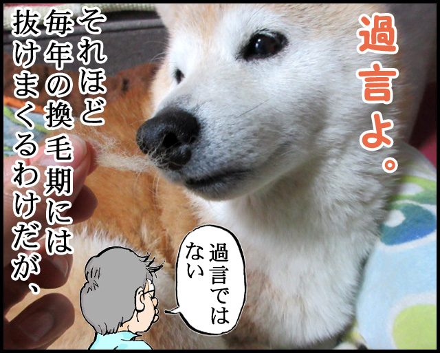 a02.jpg