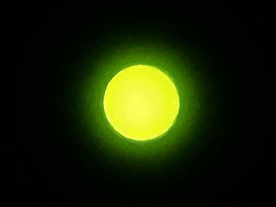 005.jpg