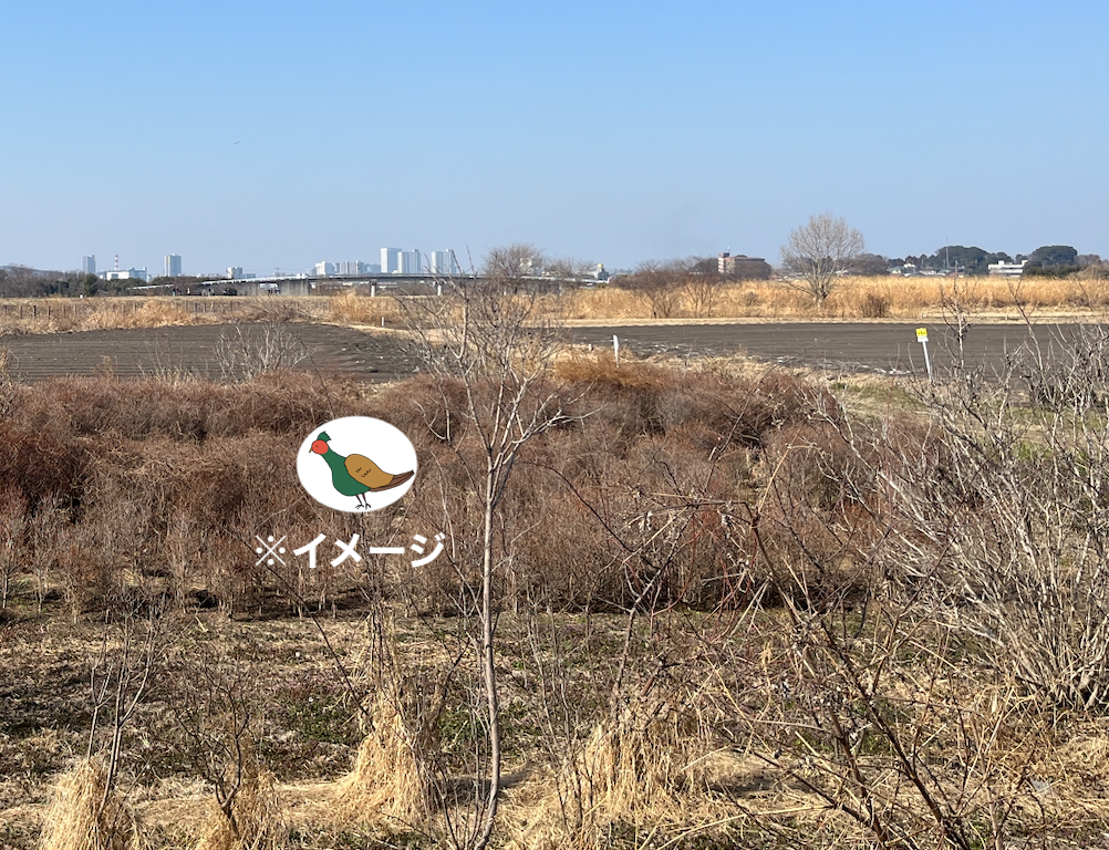 image_s023.png