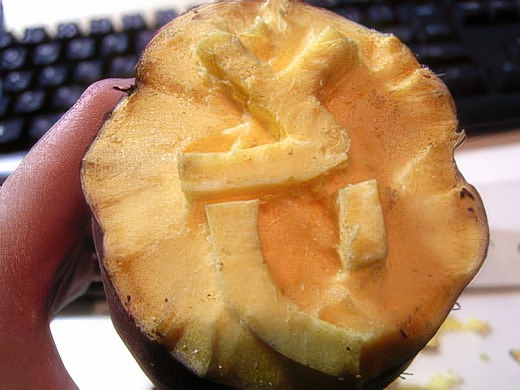 RIMG3405-topaz-standard v2-2x.jpg