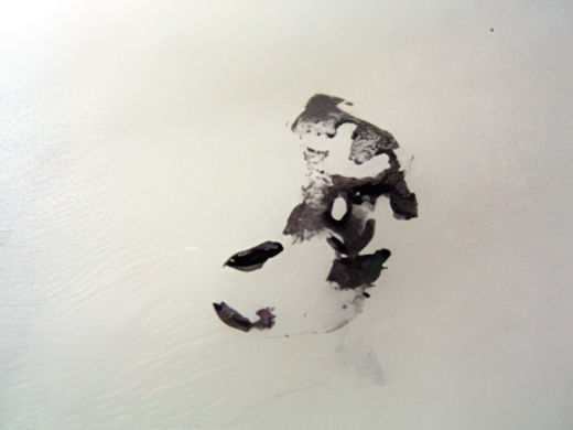 RIMG3449-topaz-low resolution v2-2x.jpg