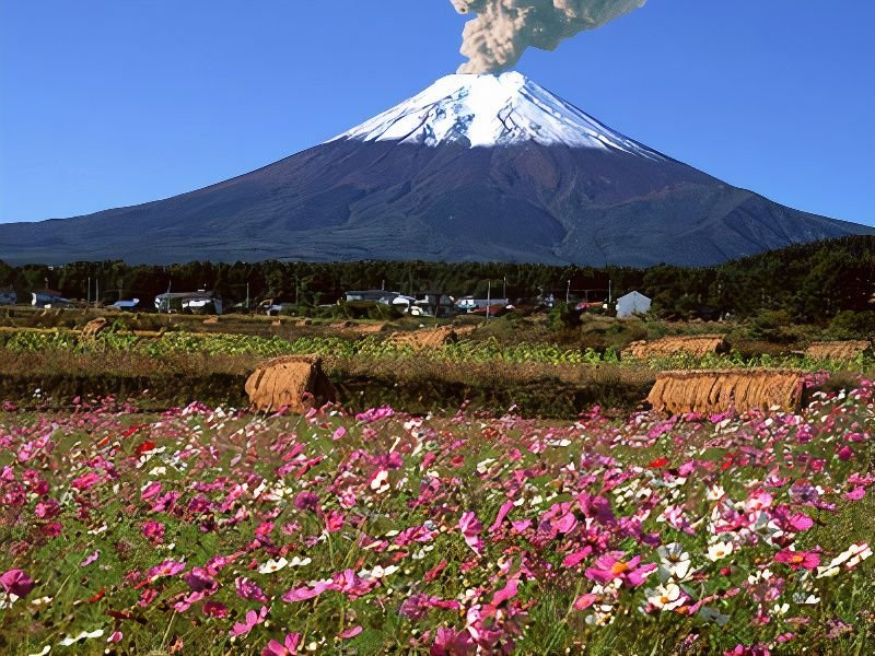 fujisan_photos_v2_x2.jpg