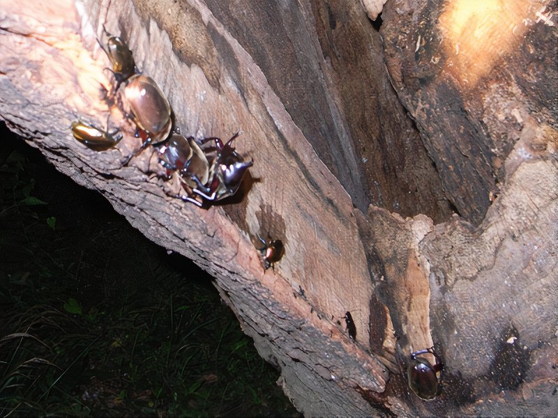 RIMG5849_photos_v2_x2.jpg
