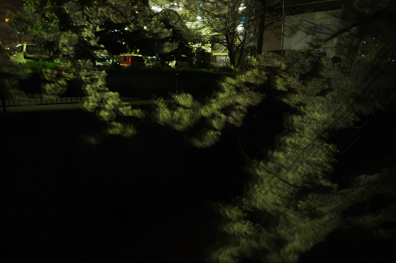 11_photos_v2_x2.jpg