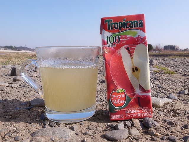 023-topaz-standard v2-640w.jpg