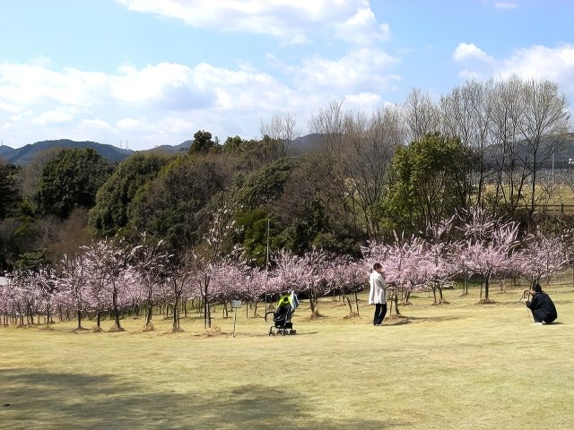 RIMG12194-topaz-low resolution-640w.jpg