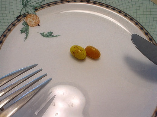 29-topaz-standard v2-2x.jpg