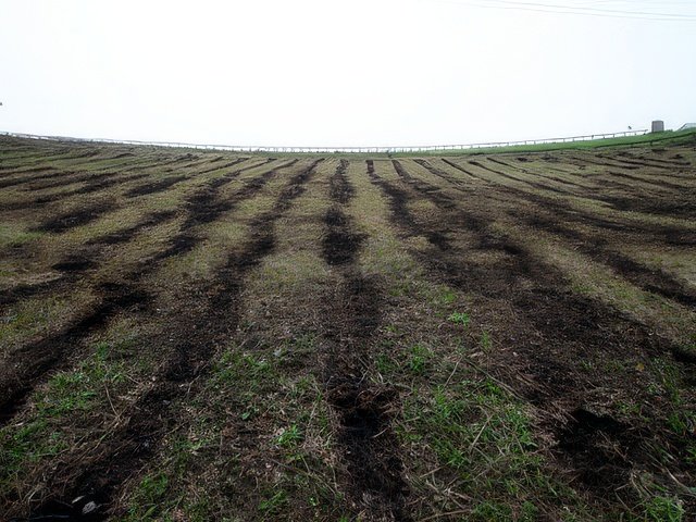 040-topaz-standard v2-640w.jpg