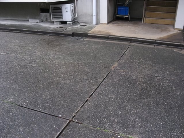 IMG_4649-topaz-standard v2-640w.jpg