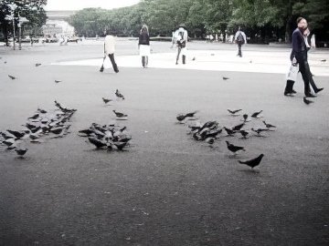 27-topaz-low resolution v1-2x.jpg