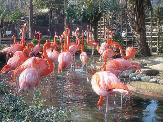 3-11-topaz-standard v2-2x.jpg