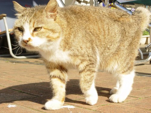 17493125_10206777756401388_15207456