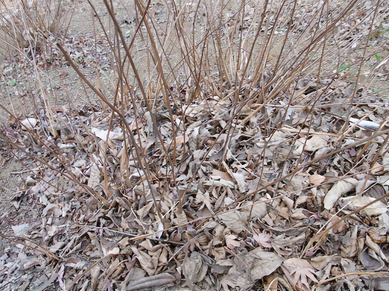 04_photos_v2_x2.jpg