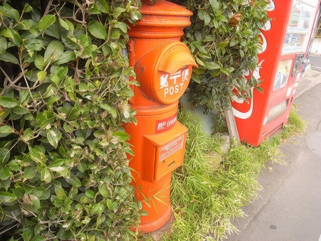 RIMG9292-topaz-standard v2-640w.jpg