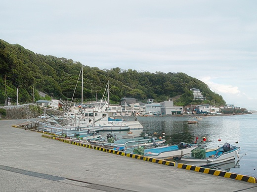 040-topaz-standard v2-2x.jpg