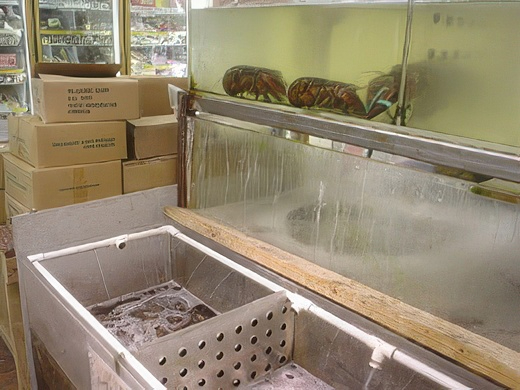 DSC01986-topaz-standard v2-2x.jpg