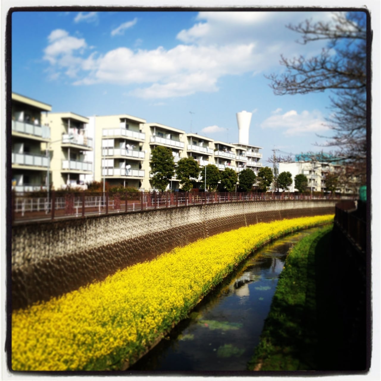 danchi-kyusuito.jpg