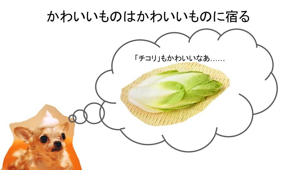 イヌリンのかわいさ-チコリ.jpg