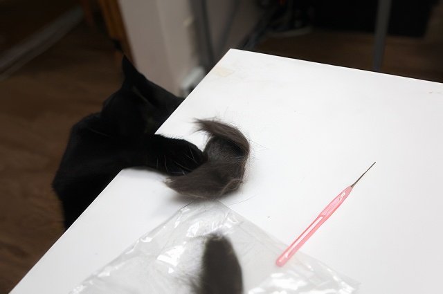 IMG_9824-topaz-standard v2-640w.jpeg