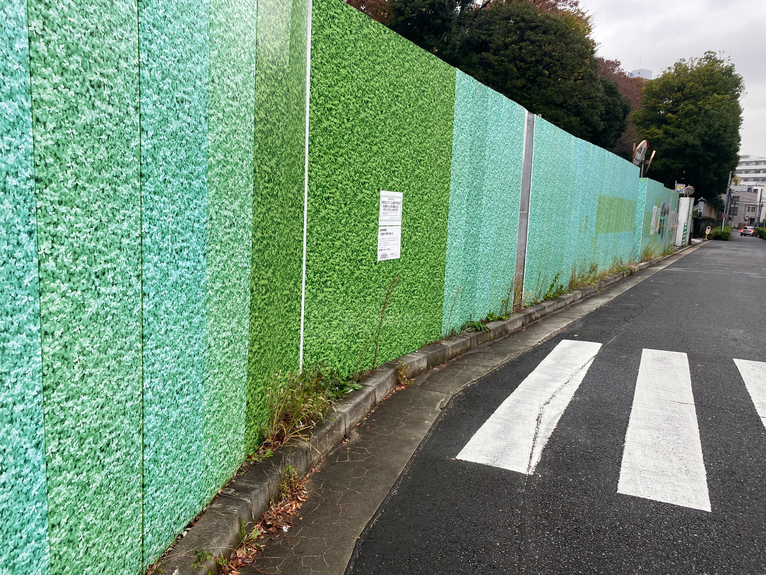 とりあえずの緑 (1).jpg