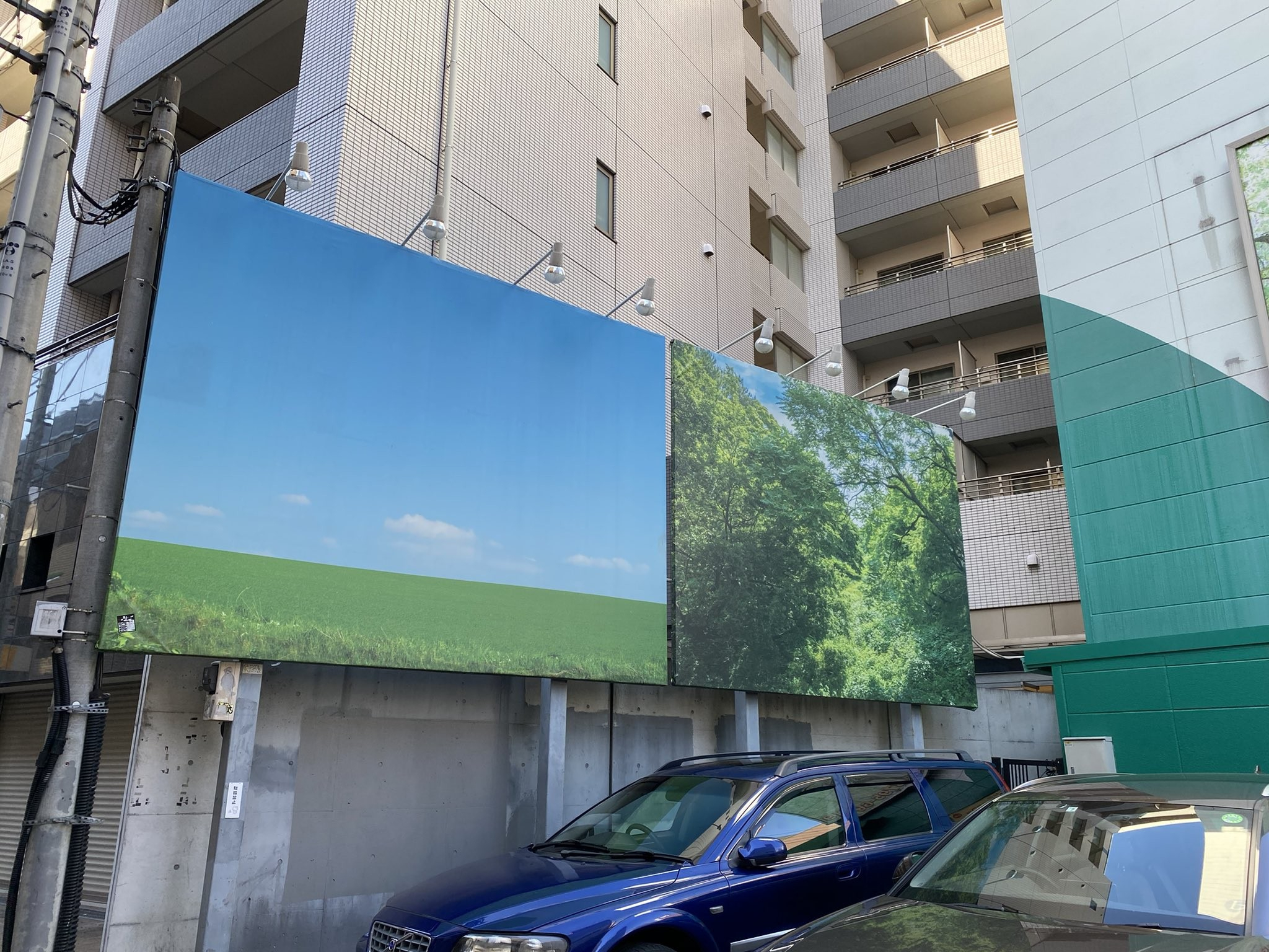 訂正とりあえずの緑 (5).jpg