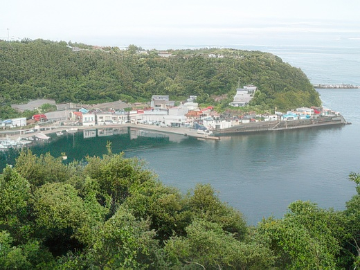 019-topaz-standard v2-2x.jpg