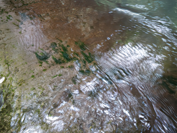 IMGP2359-topaz-low resolution v2-2x.jpg