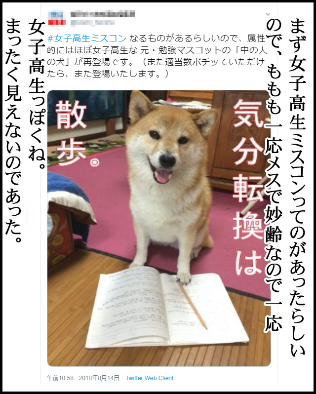 a12inu.jpg