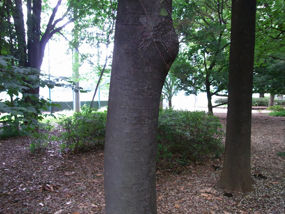 18_photos_v2_x2.jpg