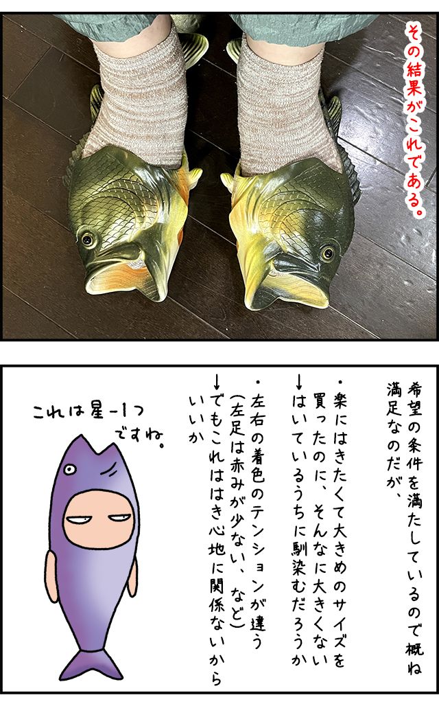 fishslipper_03.jpg