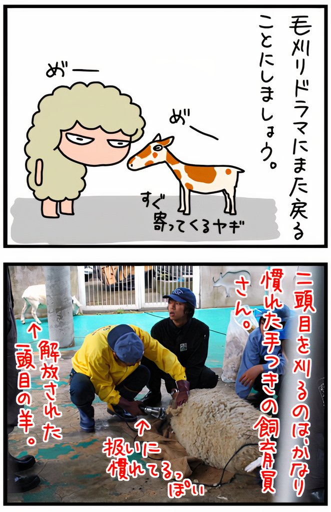 08.jpg