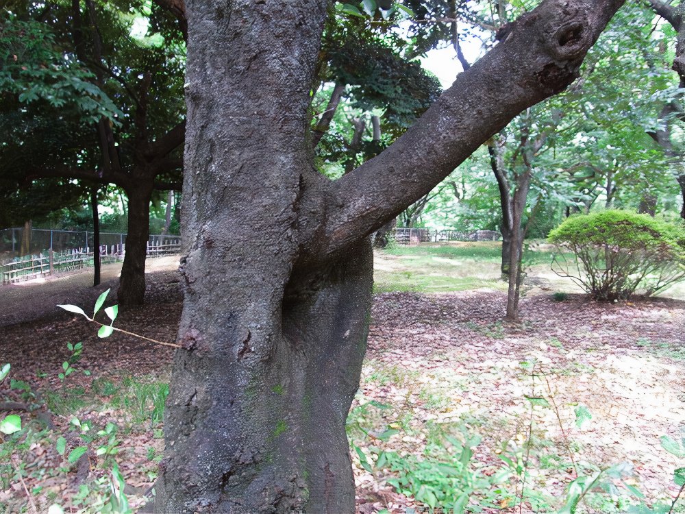 14_photos_v2_x2.jpg