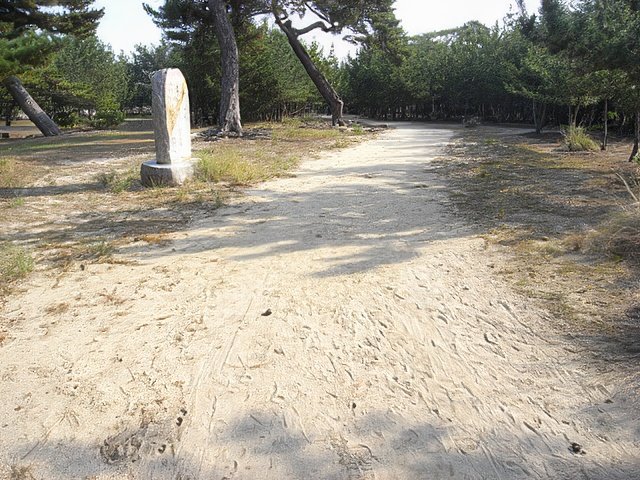 RIMG10165-topaz-standard v2-640w.jpg