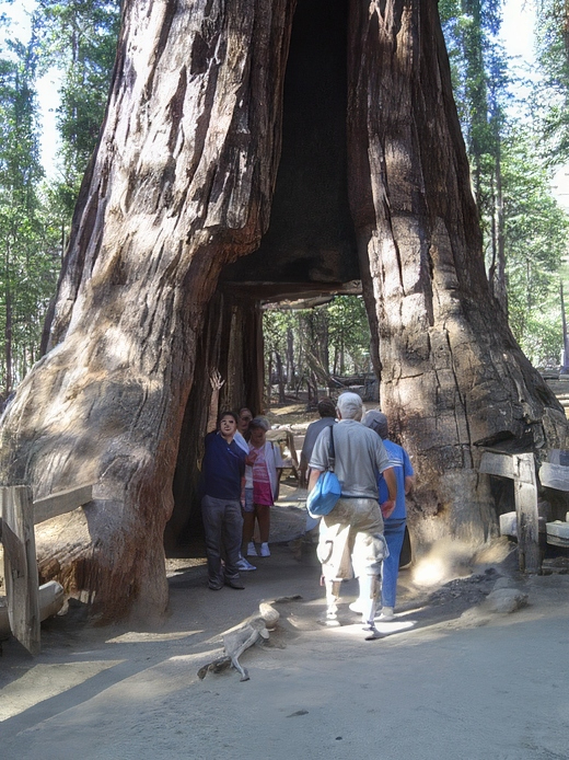 DSC00906-topaz-standard v2-2x.jpg