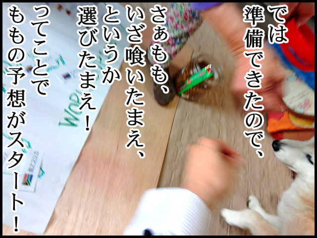 d01.jpg