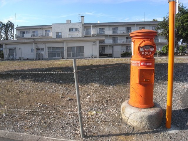 R0028072-topaz-standard v2-640w.jpg