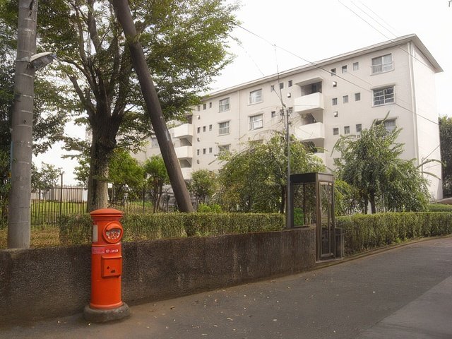 RIMG9276-topaz-standard v2-640w.jpg