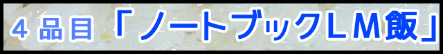 t04.jpg