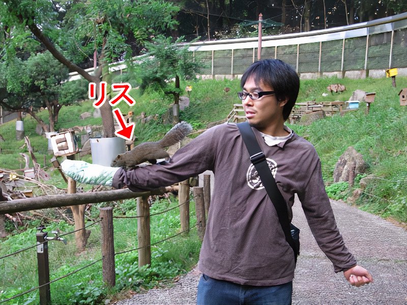 19_photos_v2_x2.jpg