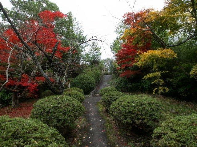 032-topaz-standard v2-640w.jpg