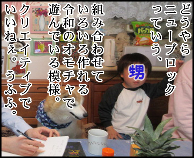 a06.jpg