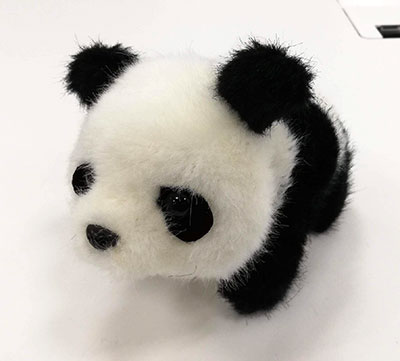 panda.jpg