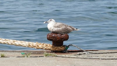 A7306742-(2023-08-30T14_31_37.897).jpg