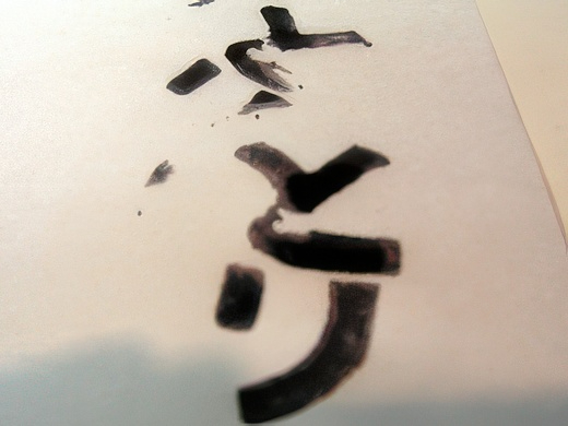 RIMG3411-topaz-standard v2-2x.jpg