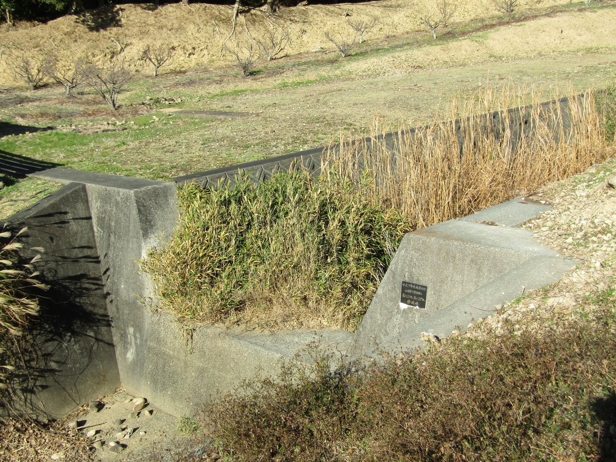 image_s019.jpg