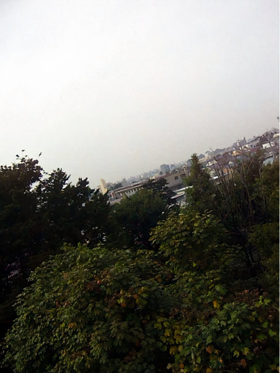 fusen1_photos_v2_x2.jpg